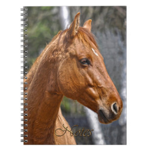 Horse-lover's Equine Animal Notebook