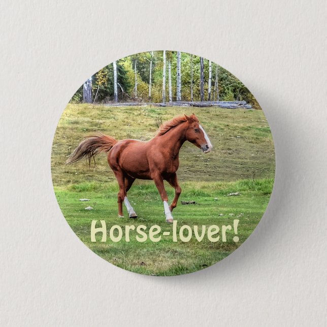 Horse-lover's Equine Photo on a BC Ranch 6 Cm Round Badge (Front)