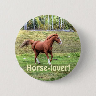 Horse-lover's Equine Photo on a BC Ranch 6 Cm Round Badge