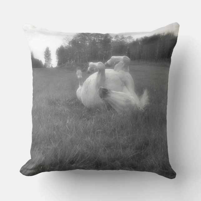 Horse-lover's Equine Photo on a BC Ranch Cushion (Front)