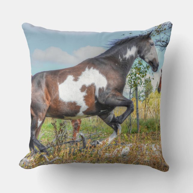 Horse-lover's Equine Photo on a BC Ranch Cushion (Front)