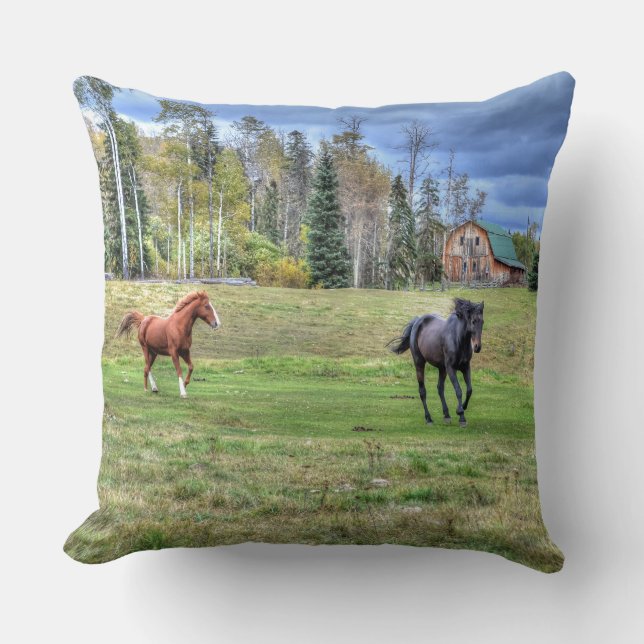 Horse-lover's Equine Photo on a BC Ranch Cushion (Front)