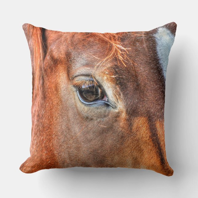 Horse-lover's Equine Photo on a BC Ranch Cushion (Front)