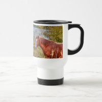 Horse-lover's Equine Photo on a BC Ranch