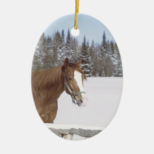 Horse Lovers Holiday Decorations (Front)