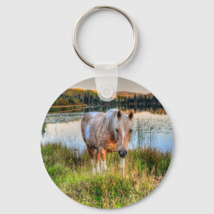 Horse-lover's Palomino Pinto Stallion Equine Photo Key Ring