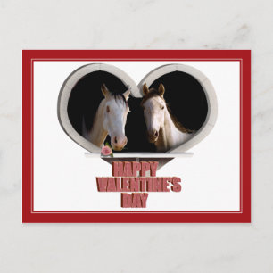 Horse Lovers Valentine Holiday Postcard