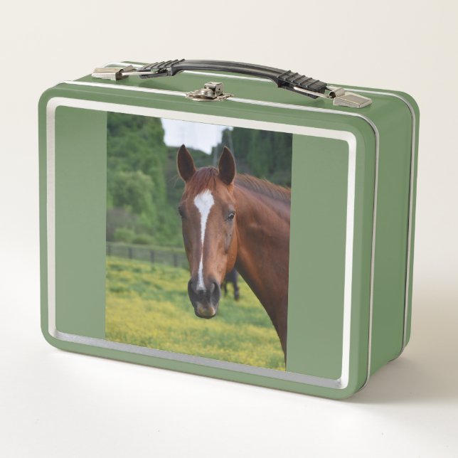 horse lunch box (Front)