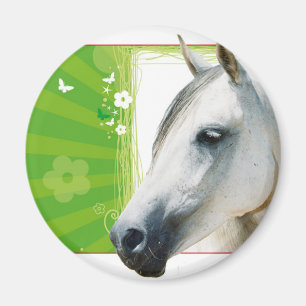Horse Magnet