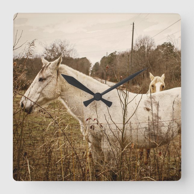 HORSE MAMA Wall Clock (Front)