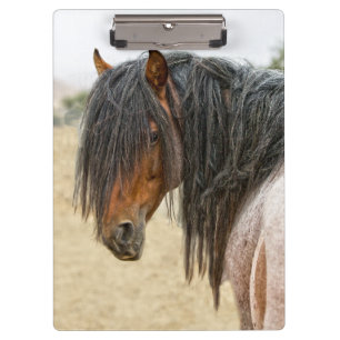 Horse Mane Clipboard