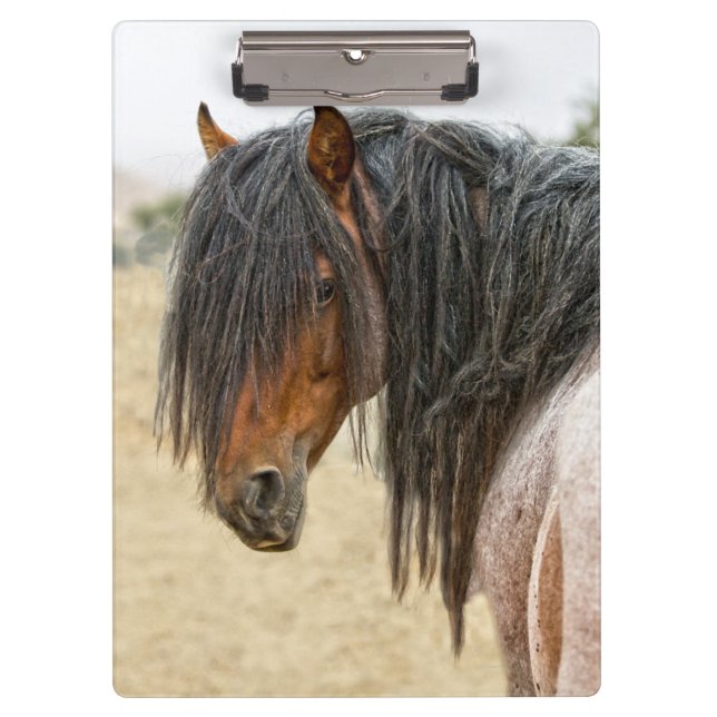 Horse Mane Clipboard (Front)