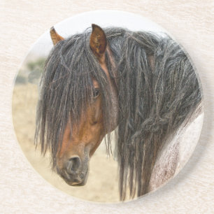 Horse Mane Coaster