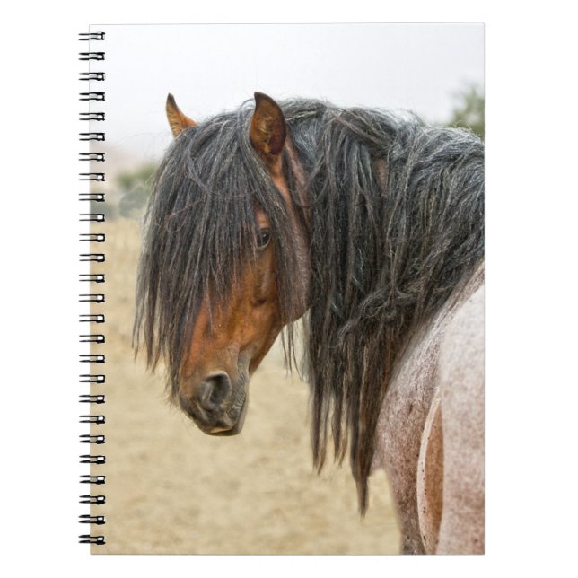 Horse Mane Notebook (Front)
