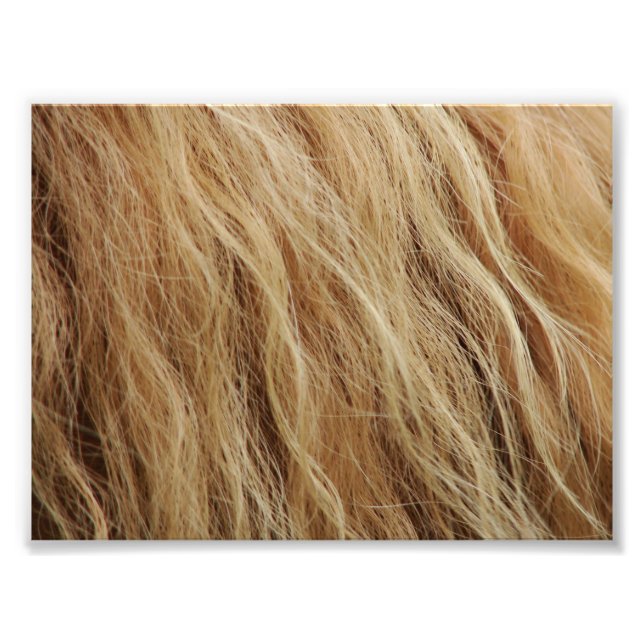 Horse Mane Photo Print (Front)