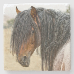 Horse Mane Stone Coaster