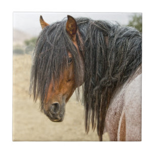 Horse Mane Tile