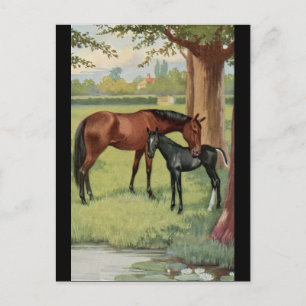 Horse Mare Foal Equestrian Vintage Image Postcard