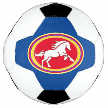 Horse Medallion Soccer Ball, Country Western Ball
