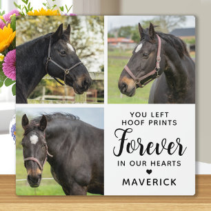 Horse Memorial Personalised 3 Pet Photo Collage Plaque