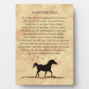 Horse Memorial Spiritual Poem Plaque