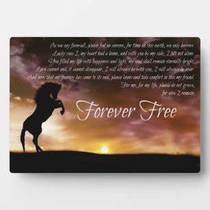 Horse Memorial Spiritual Tribute Poem Plaque