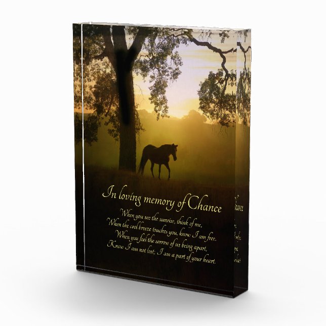 Horse Memorial Tribute Spiritual Beautiful Photo Block (Right)