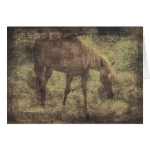 Horse Memories Grunge