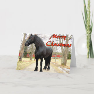 Horse Merry Christmas.jpg Holiday Card