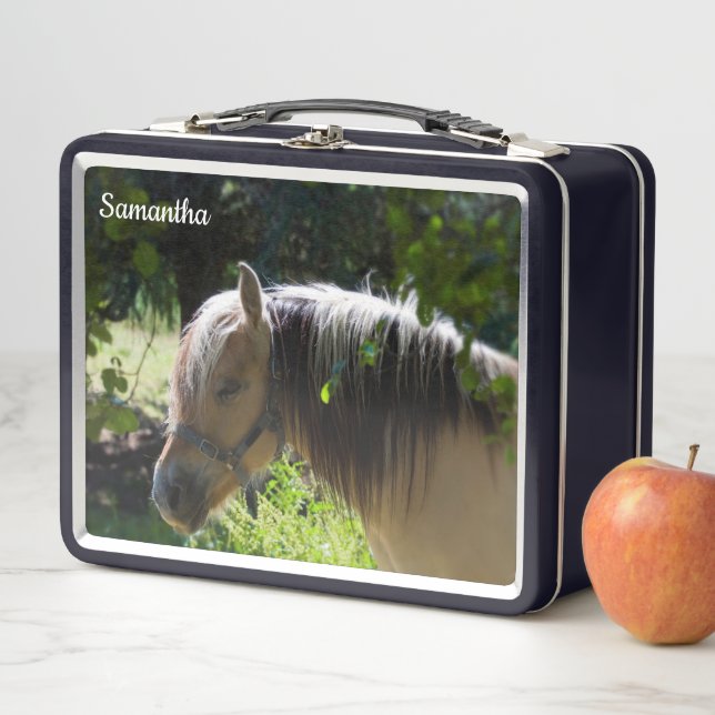 Horse Metal Lunchbox (In Situ)