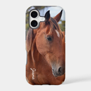 Horse Monogram