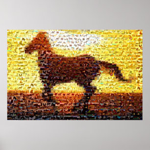 Horse montage mosaic collage poster