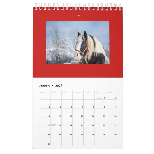 HORSE MONTHLY PLANNING CALENDAR (Jan 2027)