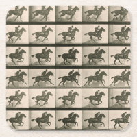 Horse Motion Vintage Photography
