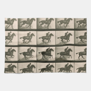 Horse Motion Vintage Photography Tea Towel