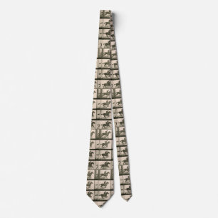 Horse Motion Vintage Photography Tie