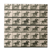 Horse Motion Vintage Photography