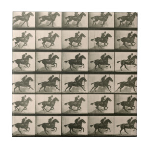 Horse Motion Vintage Photography Tile