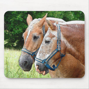 Horse Mouse Mat