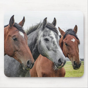 Horse Mouse Mat