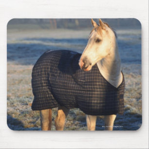 horse mouse mat