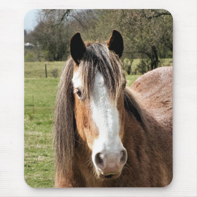 HORSE MOUSE MAT (Front)