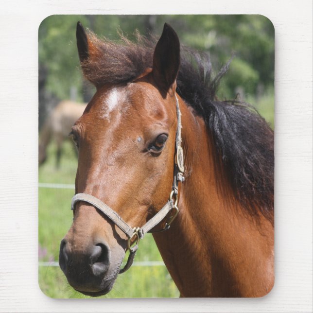 Horse Mouse Mat (Front)