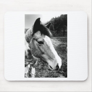 Horse Mouse Mat