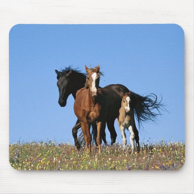 horse mouse mat (Front)