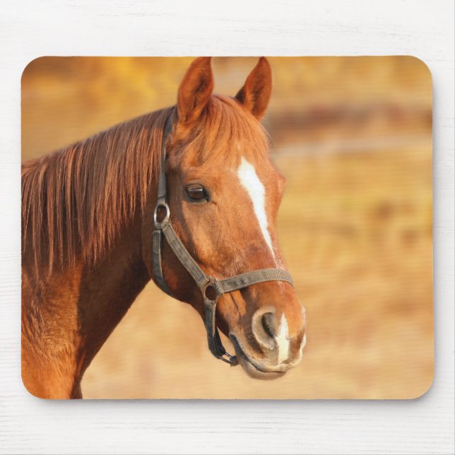 Horse Mouse Mat (Front)