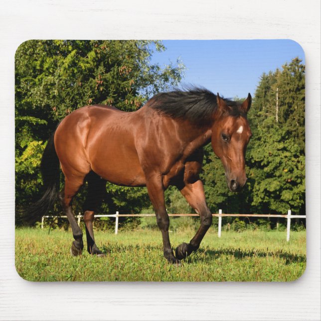 Horse Mouse Mat (Front)