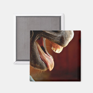 Horse, Mouth Open, Tongue Sticking Out, Teeth Magnet