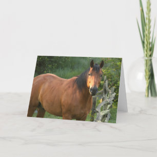 Horse Note Card