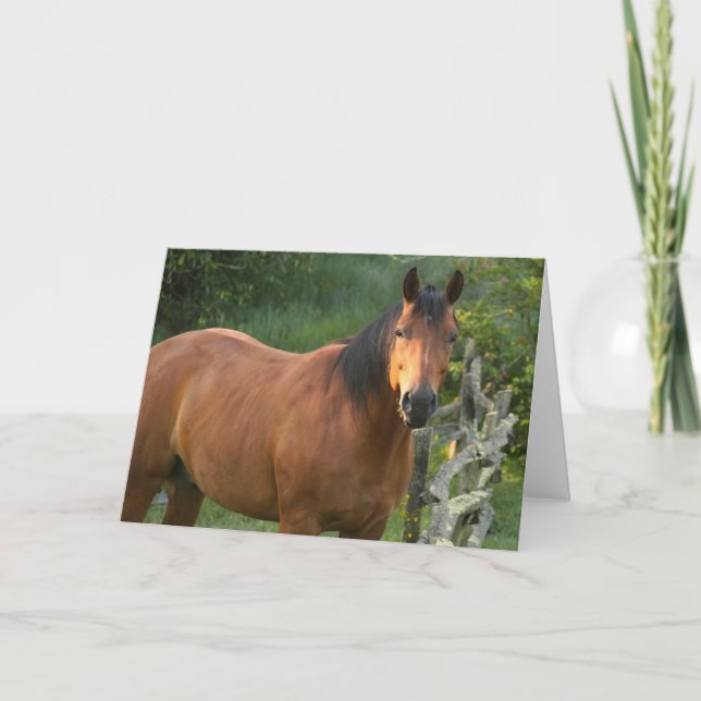 Horse Note Card (Front)